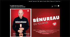 Desktop Screenshot of didierbenureau.com